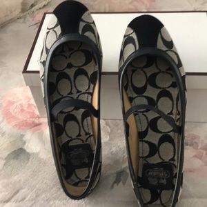 Coach shoes
